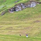 Bergwanderung mit Hund im Passeiertal -Südtirol