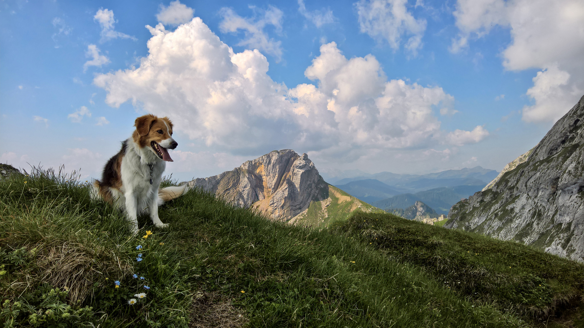 Bergwanderung mit Lenny