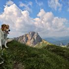 Bergwanderung mit Lenny