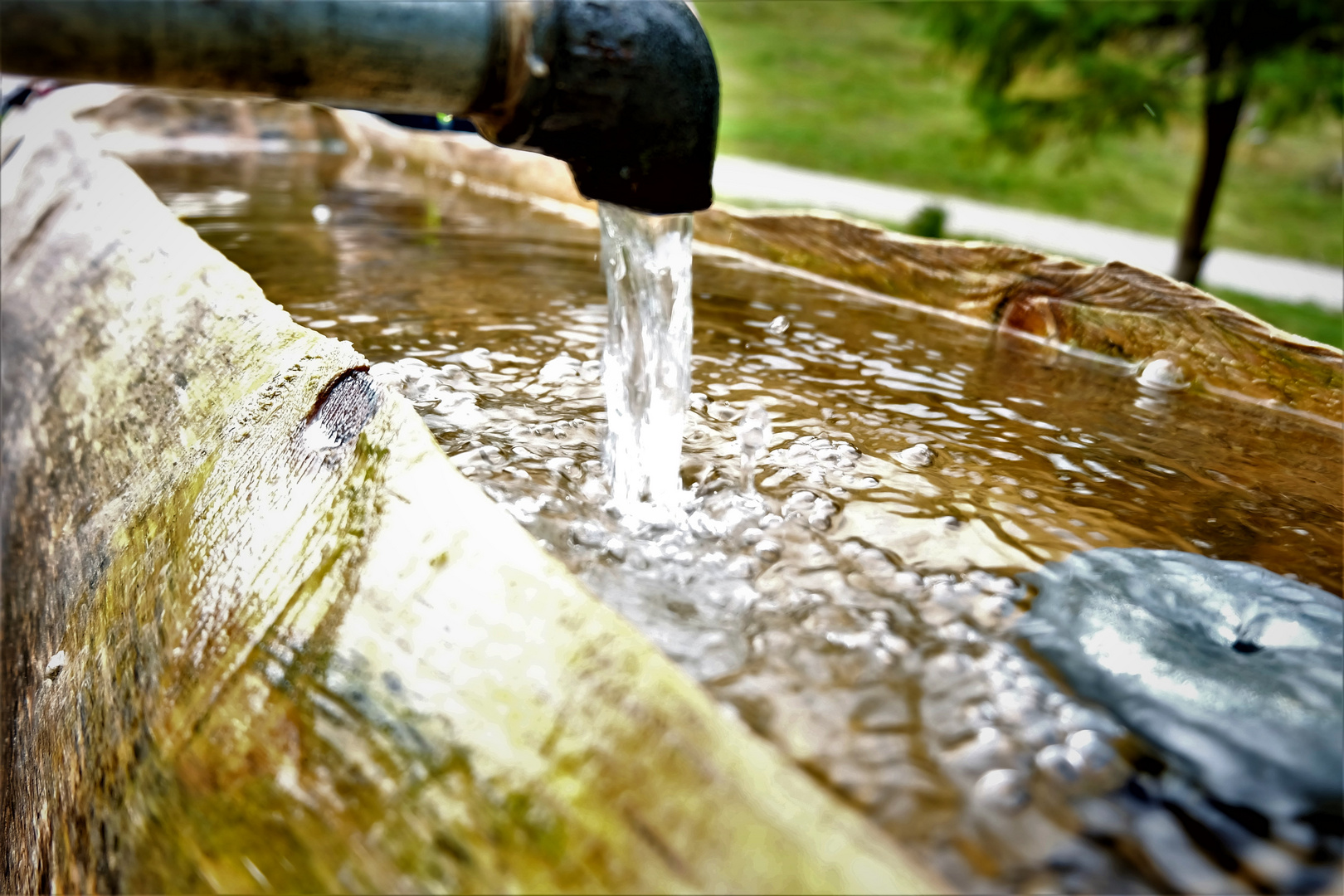 Bergwasser im Baumstamm