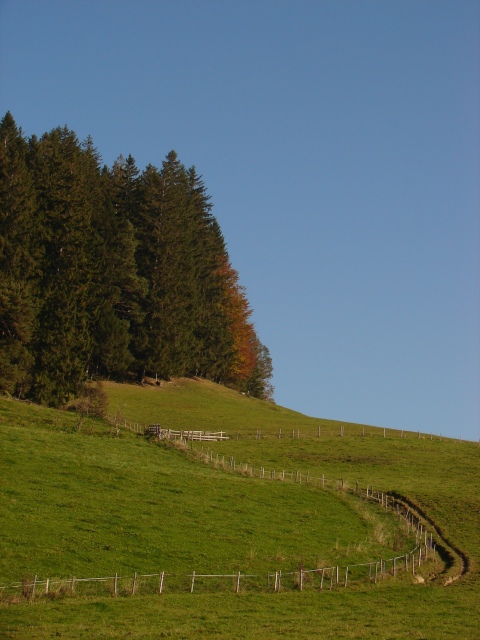 Bergweg