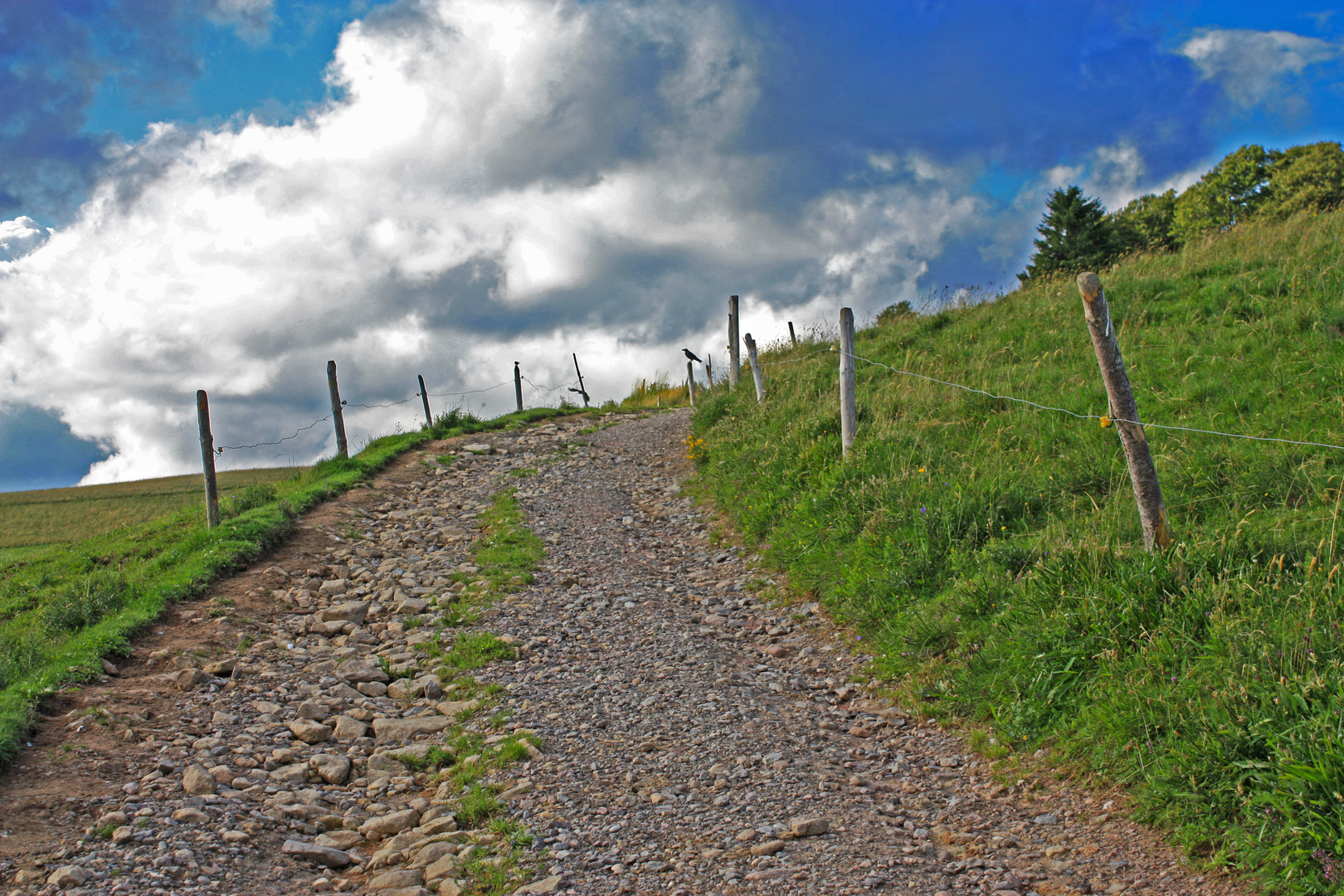 Bergweg