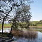 Bergweiher in Horgen