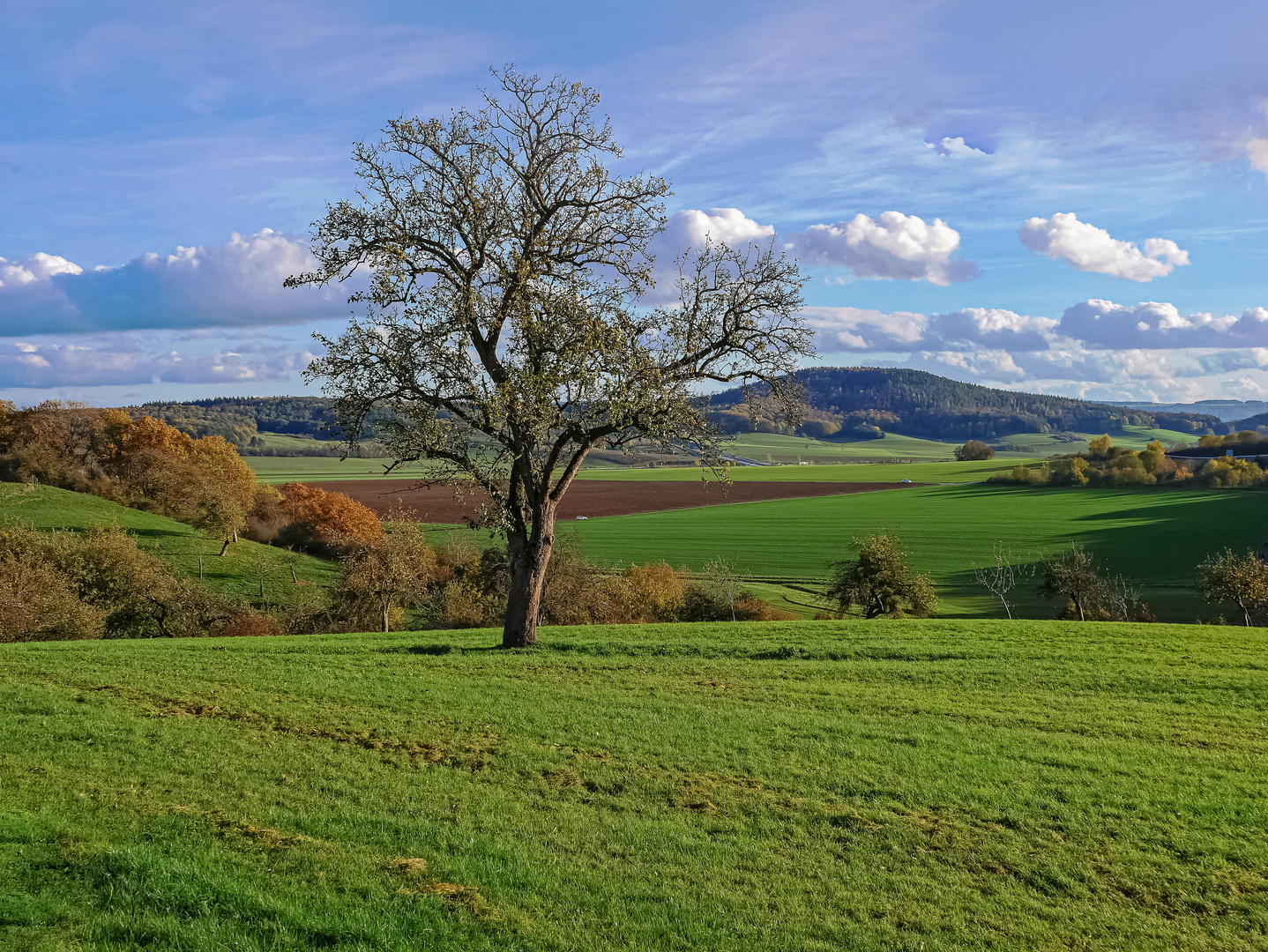 Bergweiler Höhe -Blick ua Wittlicher  Mundwald 