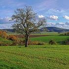 Bergweiler Höhe -Blick ua Wittlicher  Mundwald 