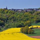 *Bergweiler im Frühling*