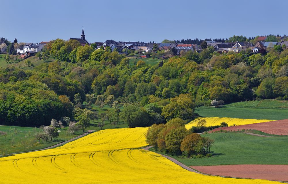 *Bergweiler im Frühling*