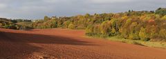 *Bergweiler im Herbst*