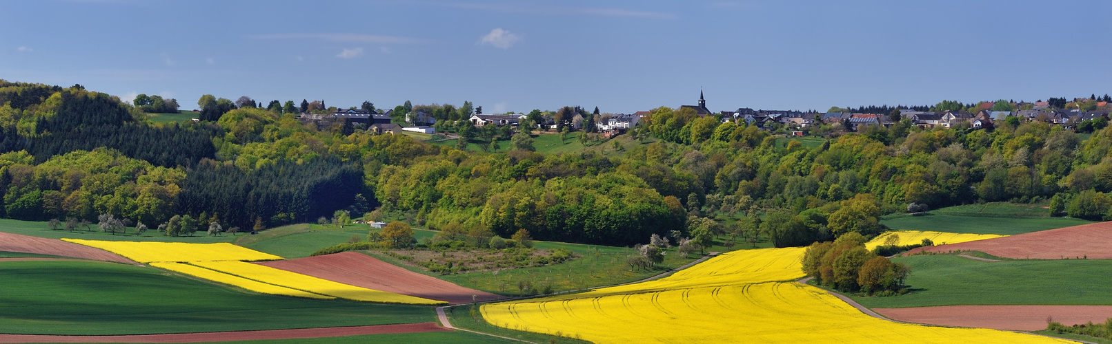 *Bergweiler-Panorama*