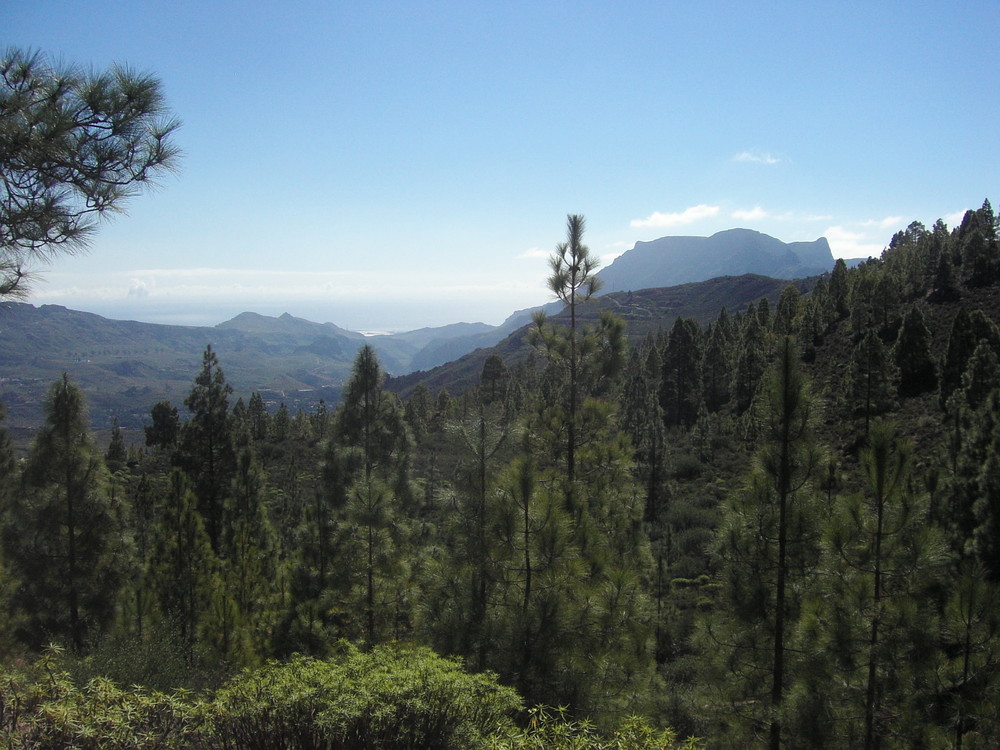 Bergwelt auf Gran Canaria