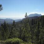 Bergwelt auf Gran Canaria