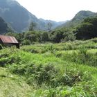 bergwelt auf madeira