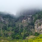 Bergwelt auf Mahé