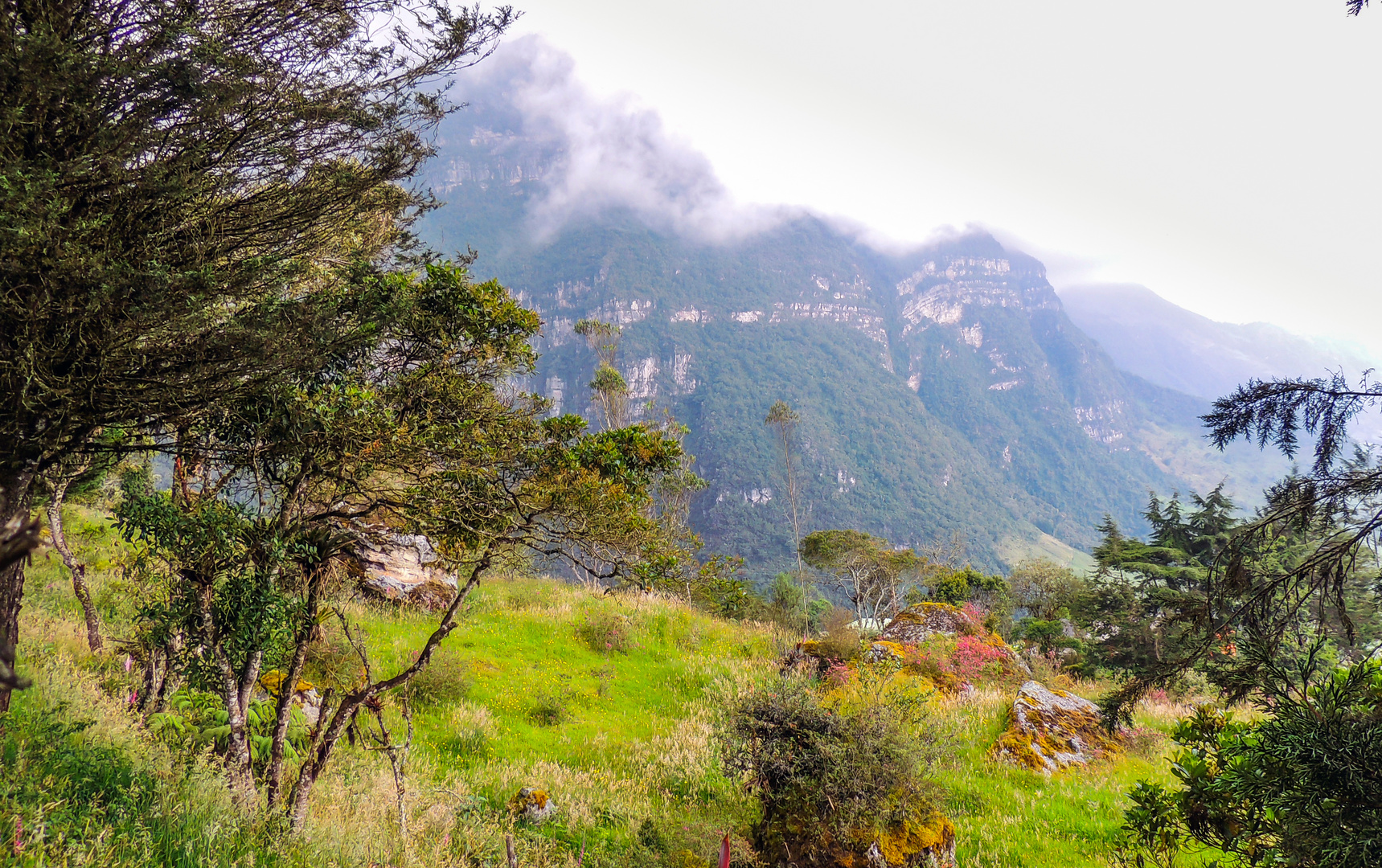 Bergwelt der Anden