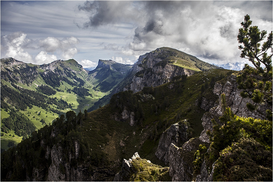 Bergwelt