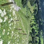 Bergwelt Grindelwald, Schweiz