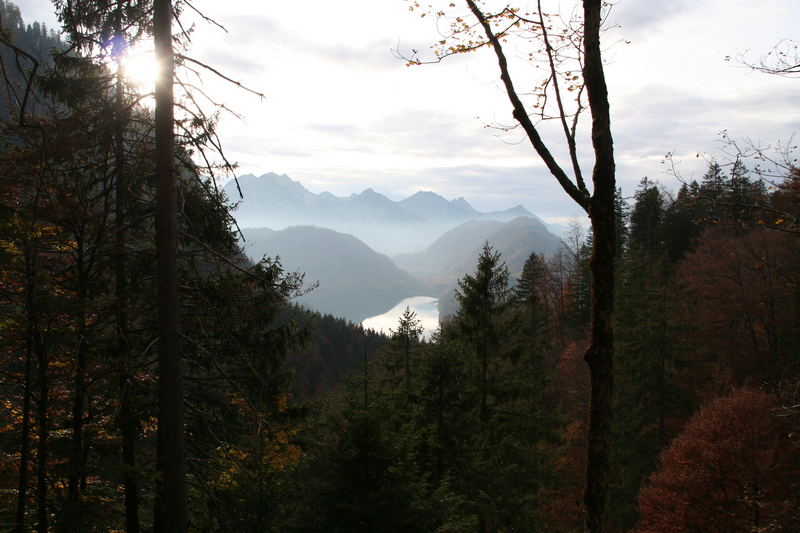 Bergwelt im Algäu