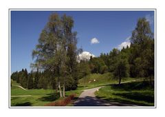 Bergwelt im Blick