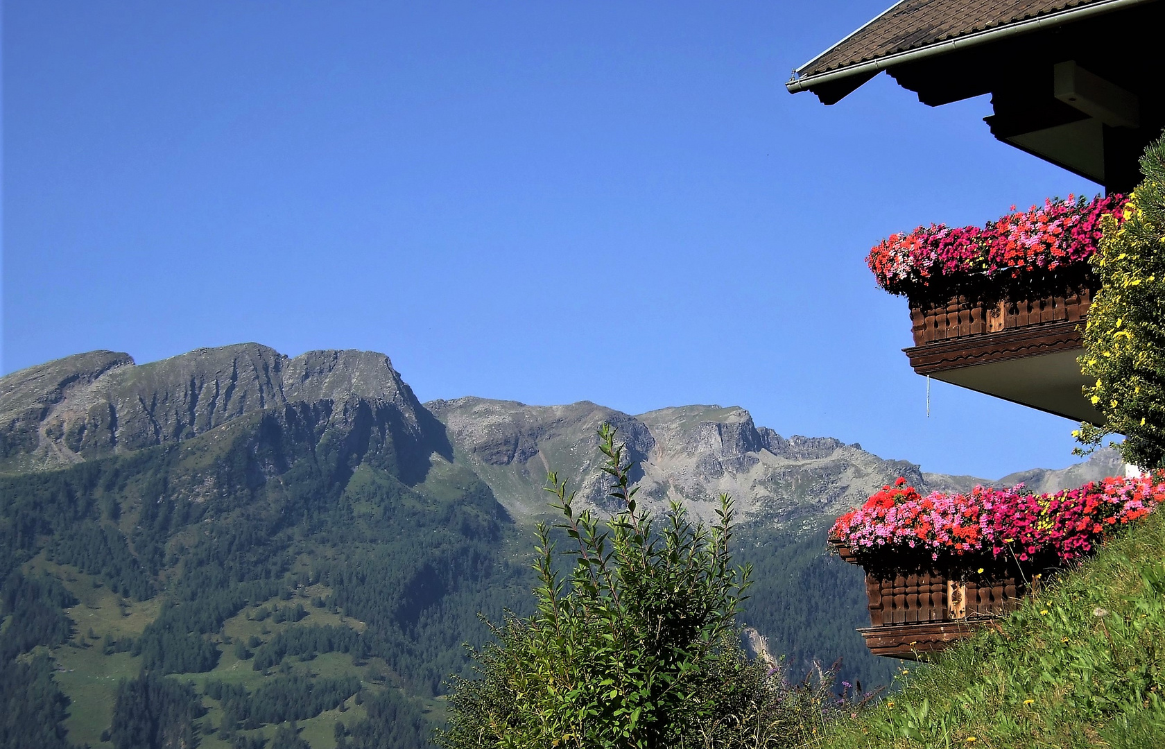 Bergwelt im Maltatal