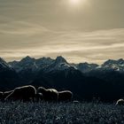 Bergwelt im Spätherbst