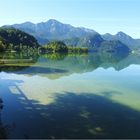 Bergwelt im Spiegel des Kochelsees