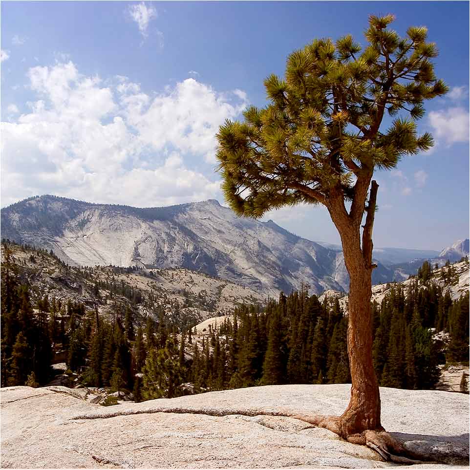 Bergwelt im Yosemite-Nationalpark