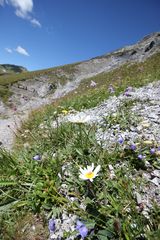 Bergwelt in Graubünden