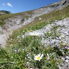 Bergwelt in Graubünden