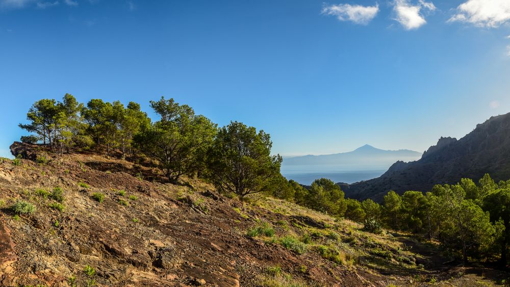 Bergwelt oberhalb Hermigua - La Gomera