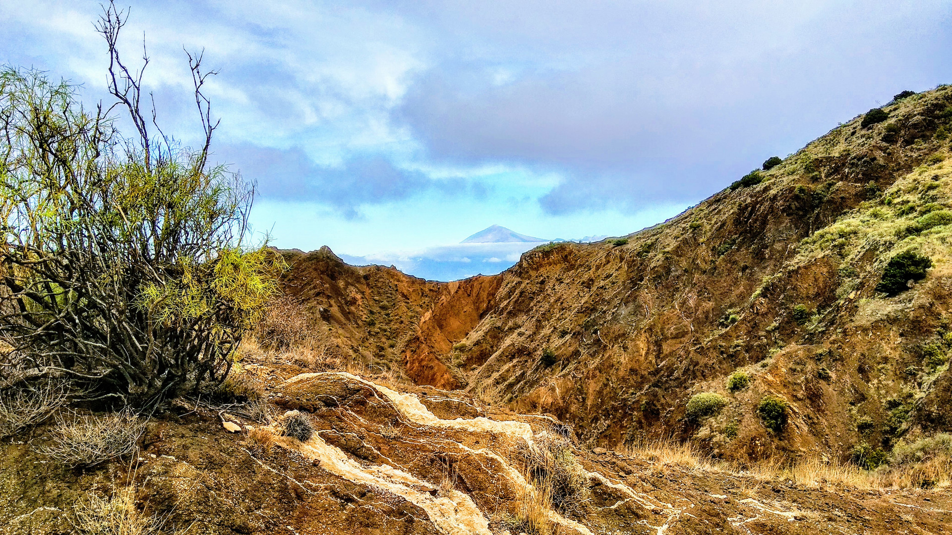 Bergwelt oberhalb Hermigua - La Gomera