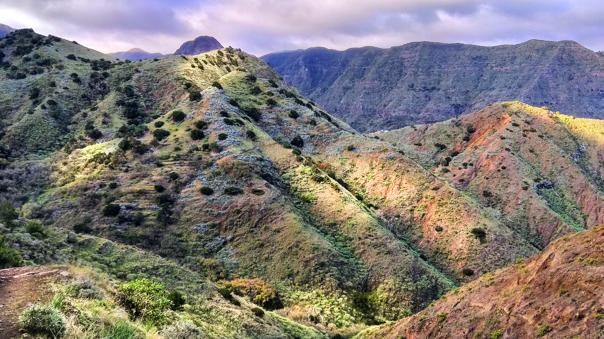 Bergwelt oberhalb Hermigua - La Gomera