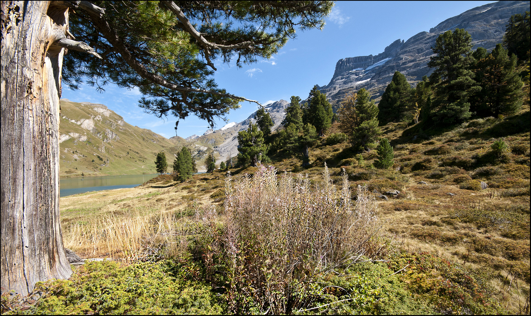 Bergwelt pur