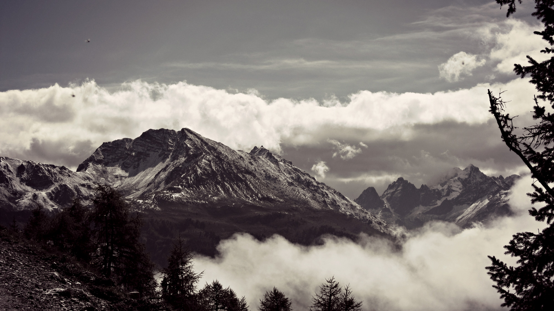 Bergwelt Schwarz/Weiß