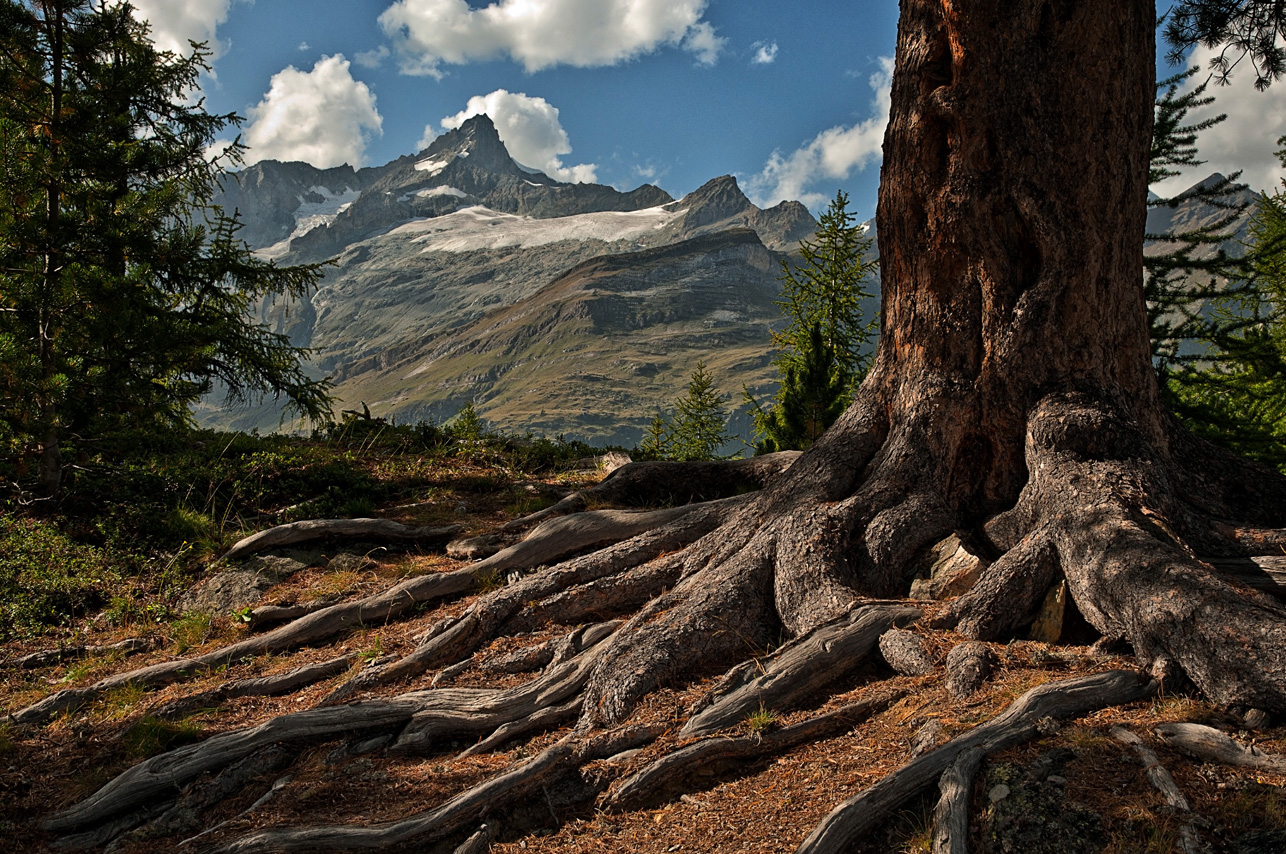 Bergwelt - Schweiz