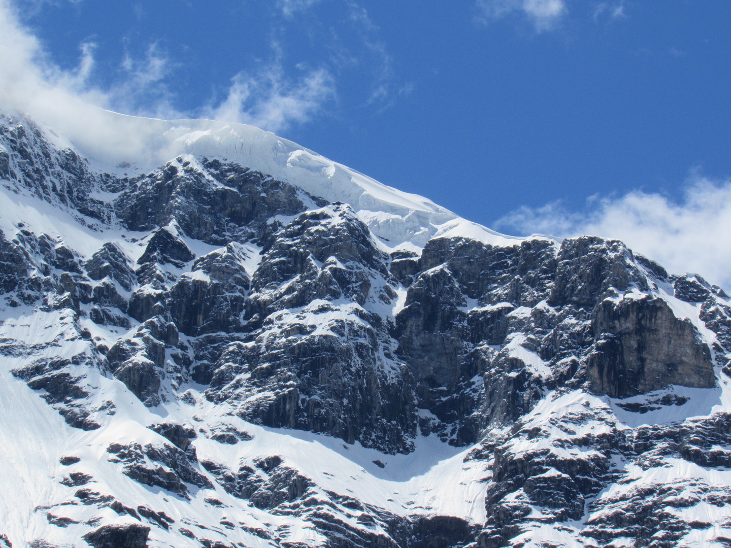 Bergwelt Sulden