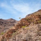 Bergwelt um Sesfontain, Namibia