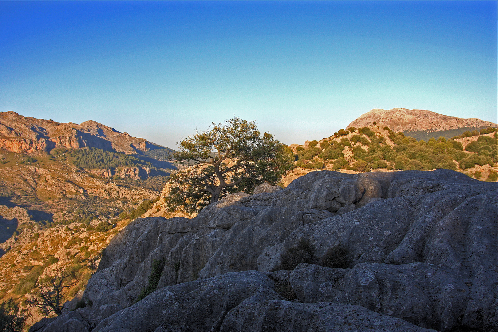 Bergwelt von Mallorca II