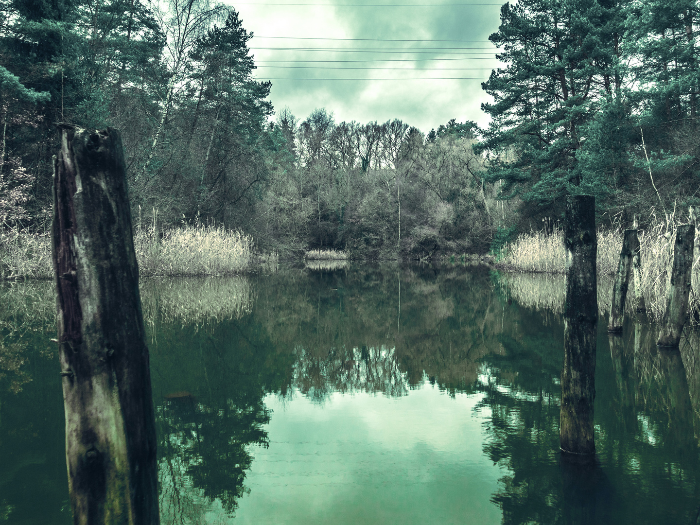 Bergwerkswald - ein anderer Planet 