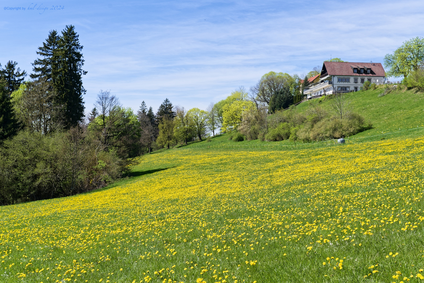 Bergwiese