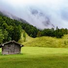 Bergwiese am Ferchensee