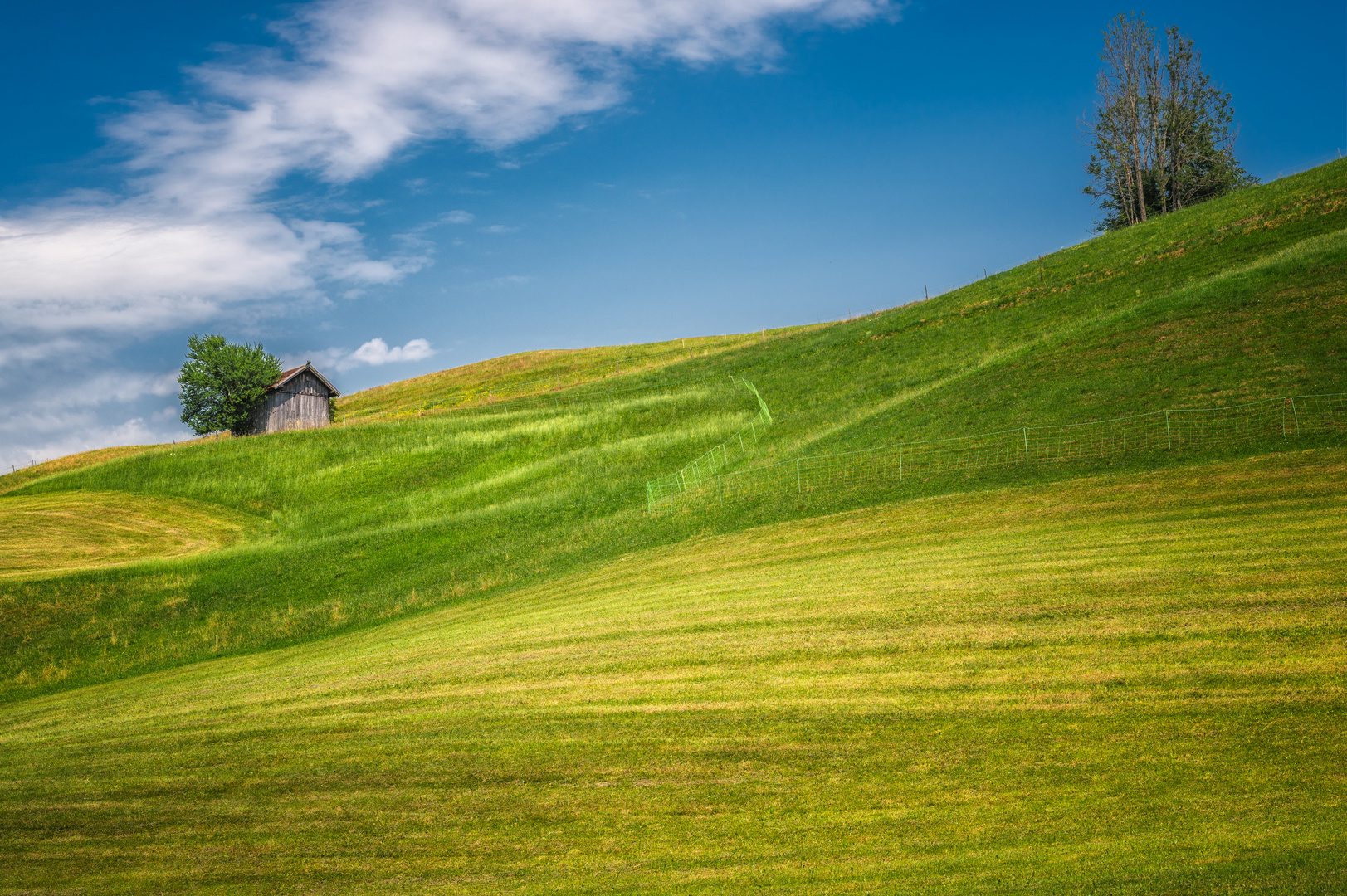 Bergwiese bei strahlender Sonne