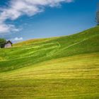 Bergwiese bei strahlender Sonne