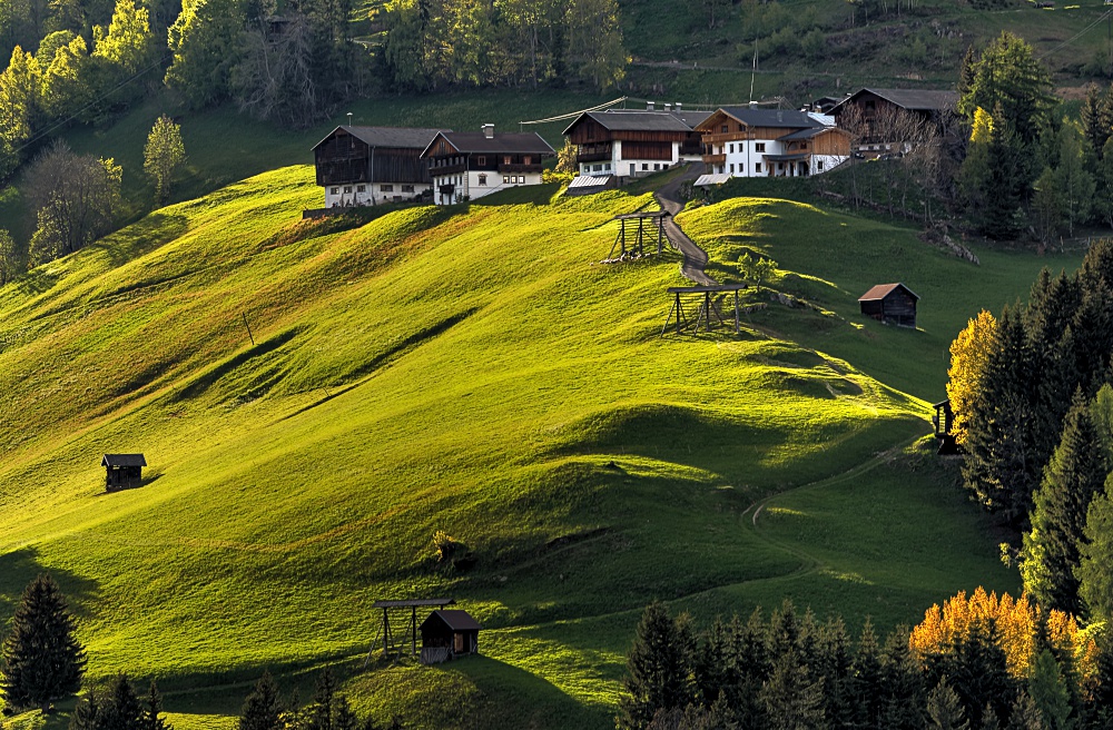 Bergwiese im Abendlicht