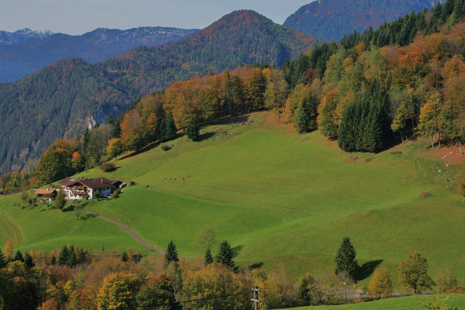 Bergwiese im Herbst