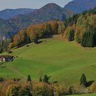 Bergwiese im Herbst