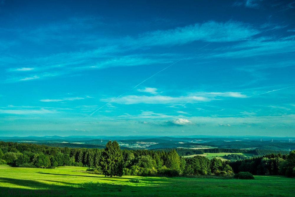 Bergwiese mit Fernsicht