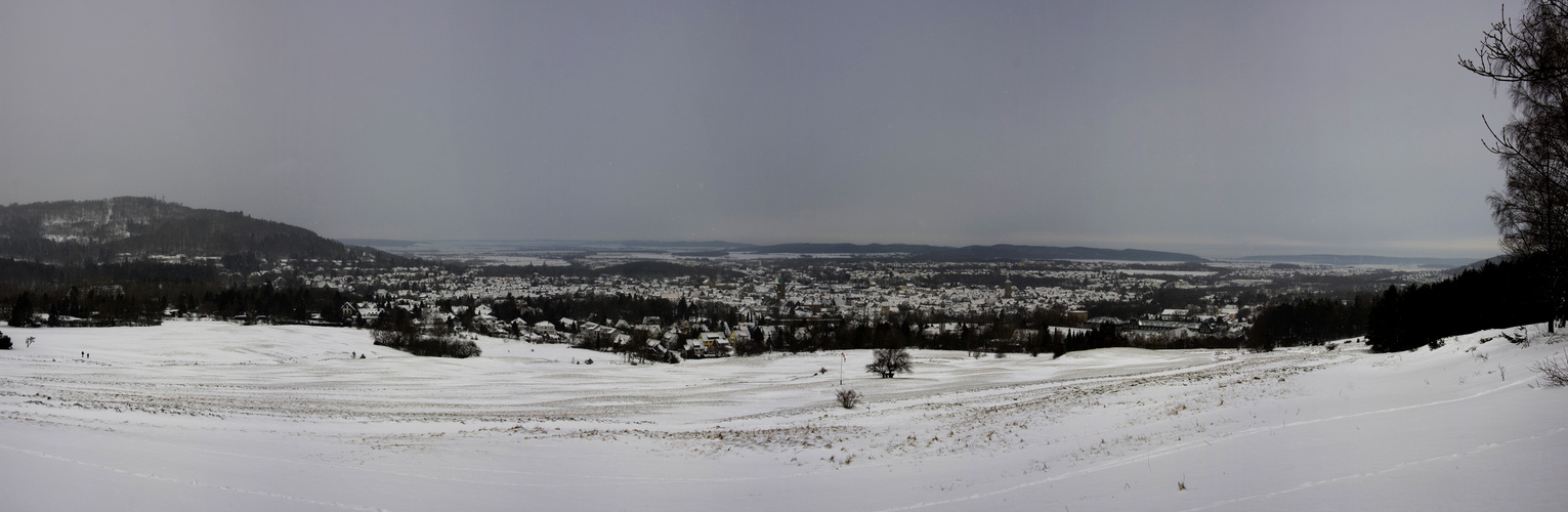 Bergwiesen am Rammelsberg