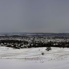 Bergwiesen am Rammelsberg