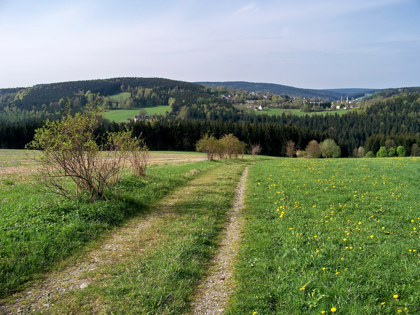 Bergwiesen bei Zöblitz III