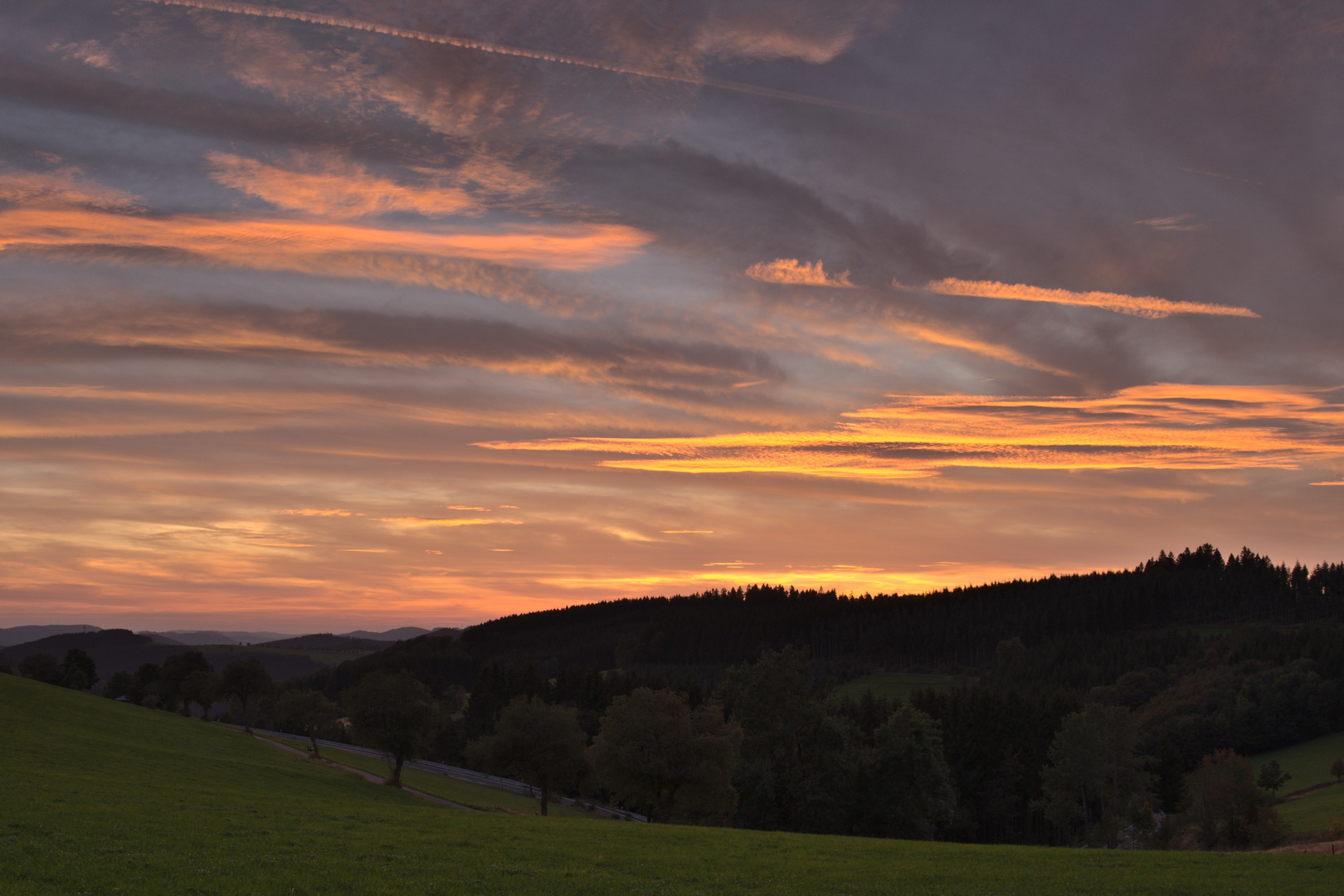 Bergwiesen im Abendlicht